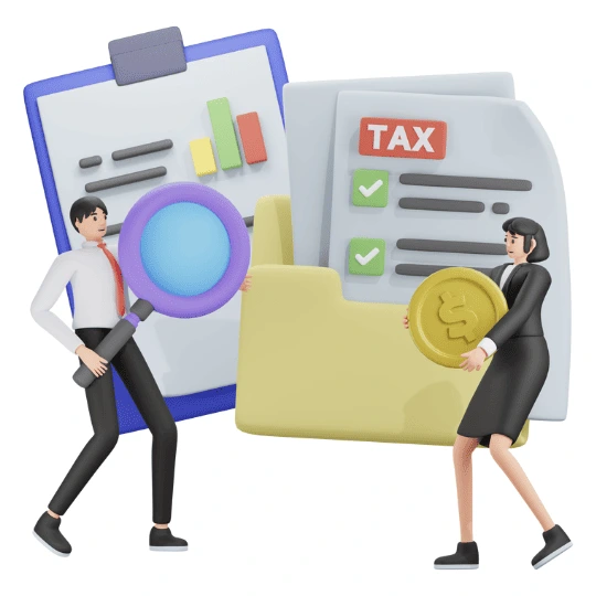 professional Accounting Services 